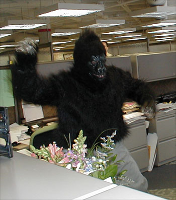 gorillagram
